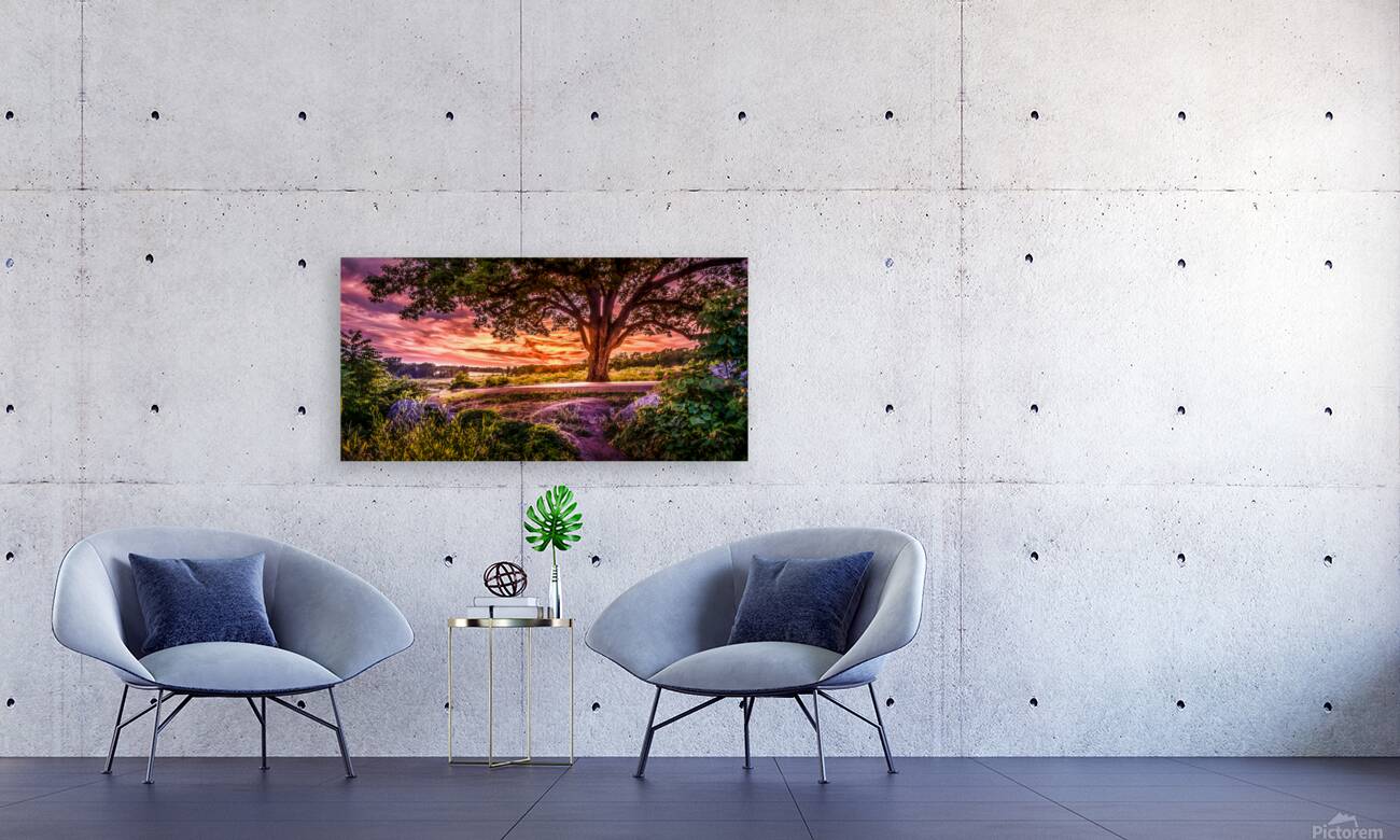 Fairytale Sunset Reproduction