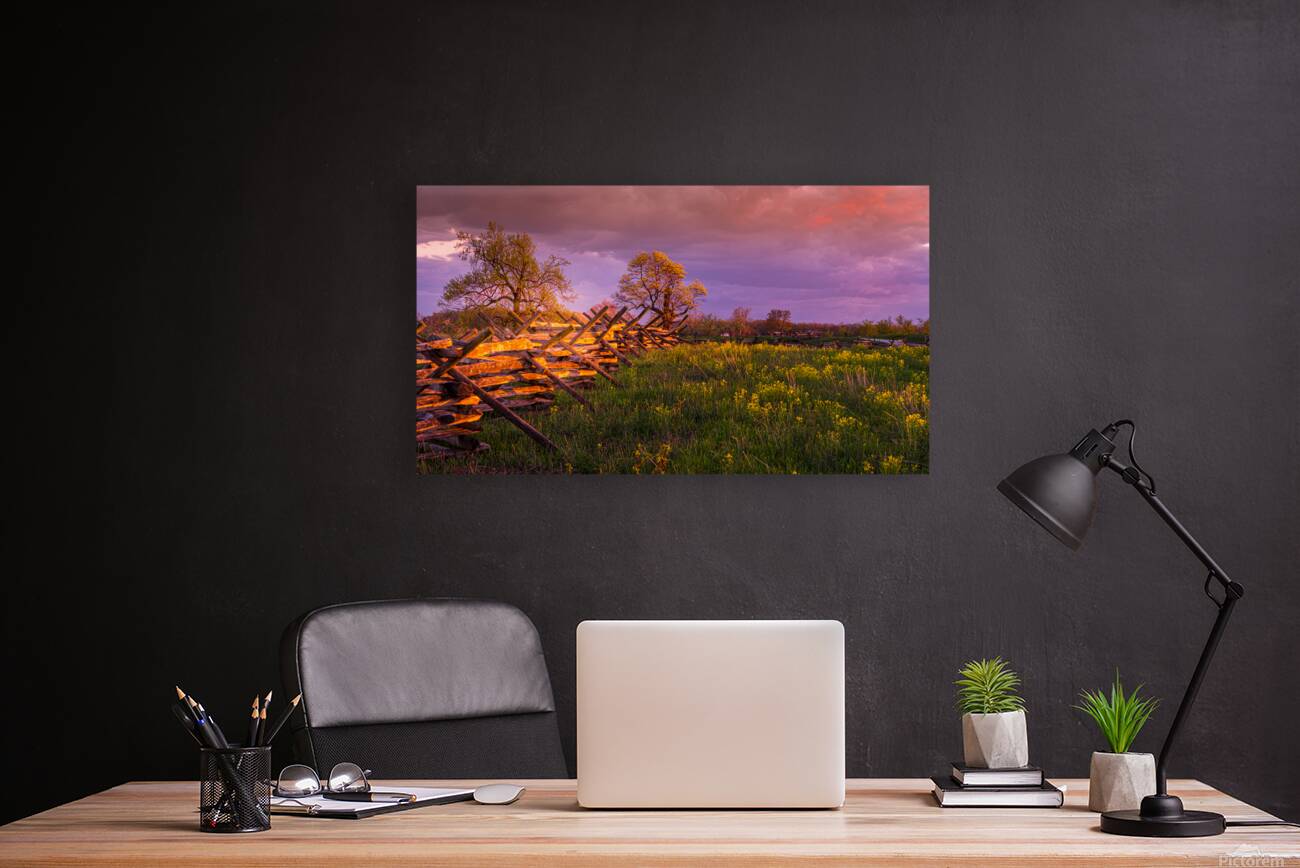 Sunset Fence Reproduction