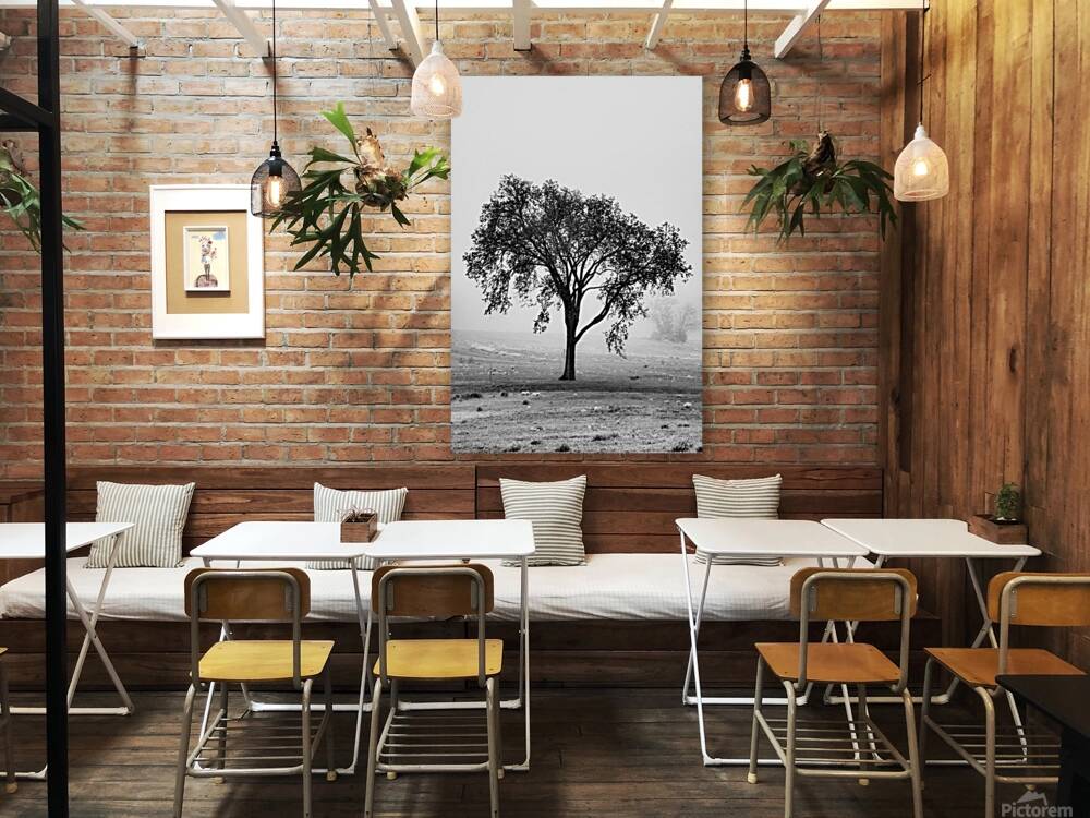 Stark Lonely Reproduction