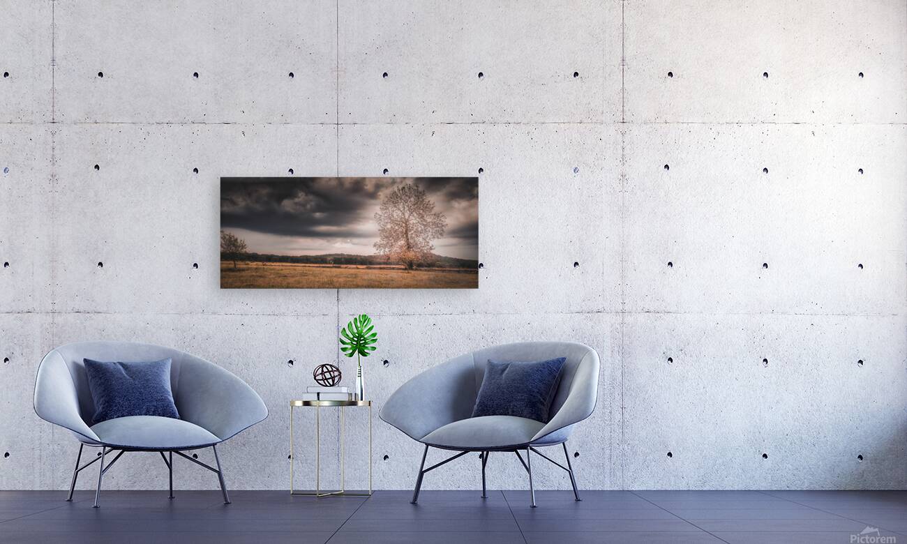 Lone Tree Storm Reproduction