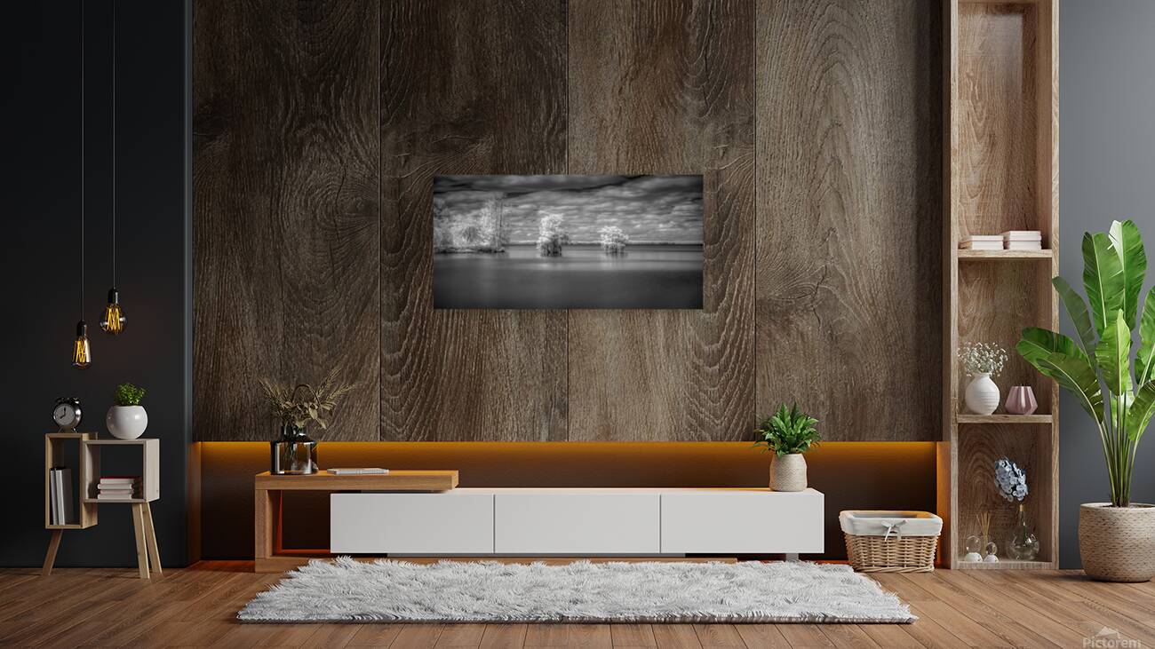 Off Shore Bald Cypress Reproduction