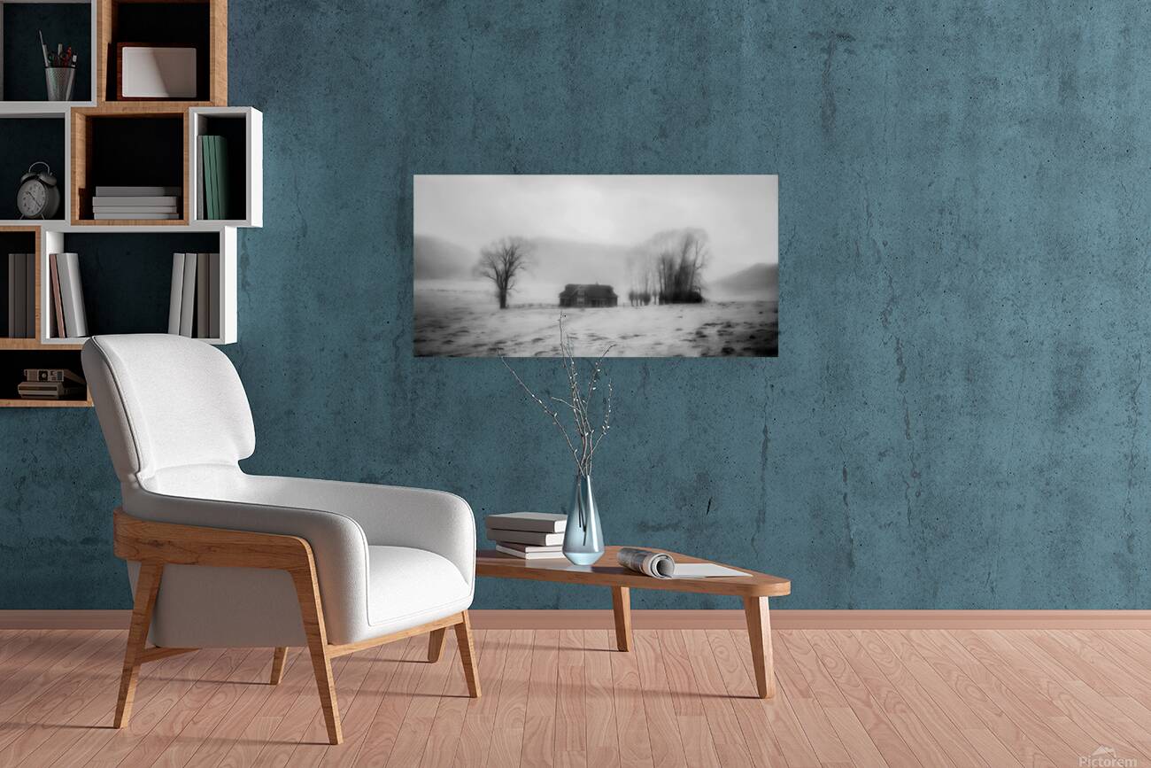 Winters Solitude Reproduction