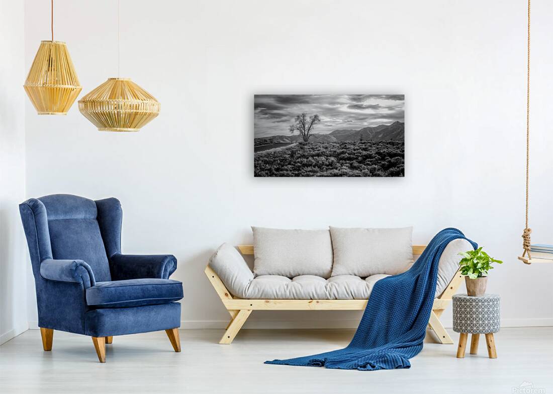 Sage and Solitude Reproduction