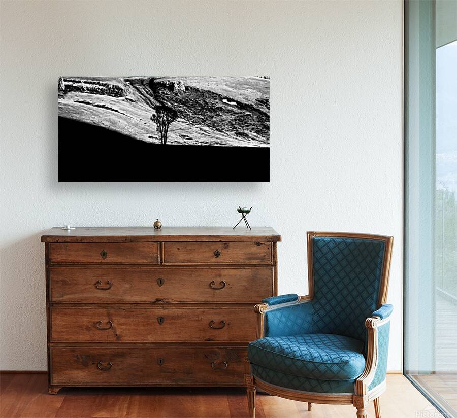 Solitary Sentinel Reproduction