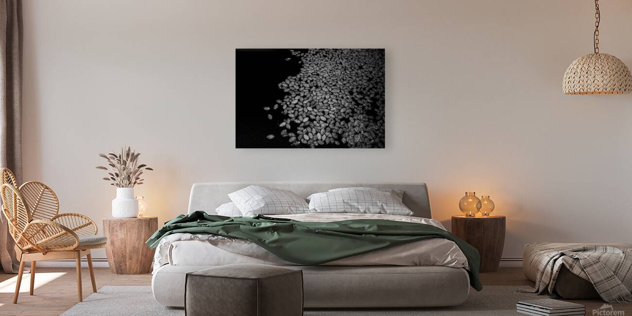 Lily Pad Dance Reproduction