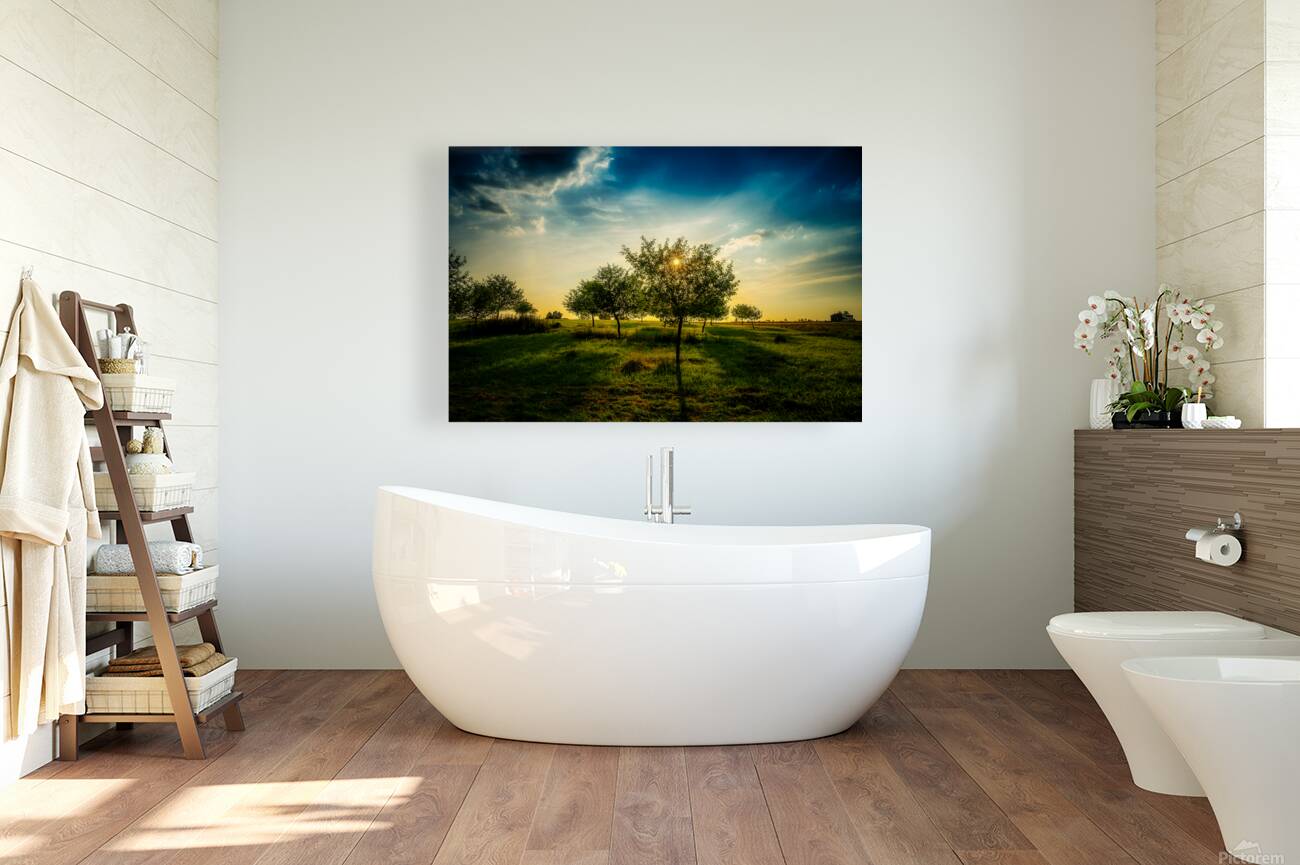 Golden Hour Symphony: Trostle Farms Enchanting Ambiance at Getty Reproduction