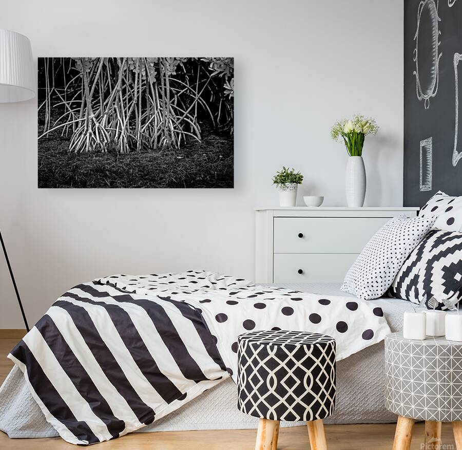 Enchanting Mangrove Tapestry: A Dance of Light and Shadows Reproduction