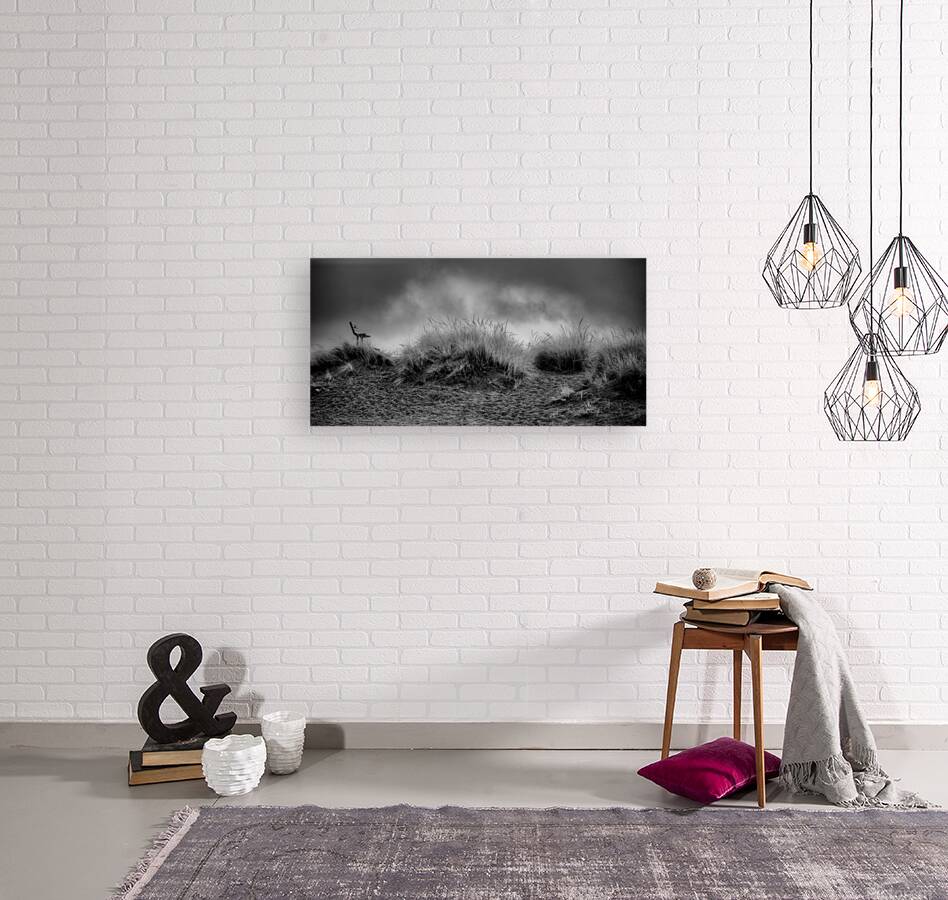 Contemplation Before the Storm Reproduction