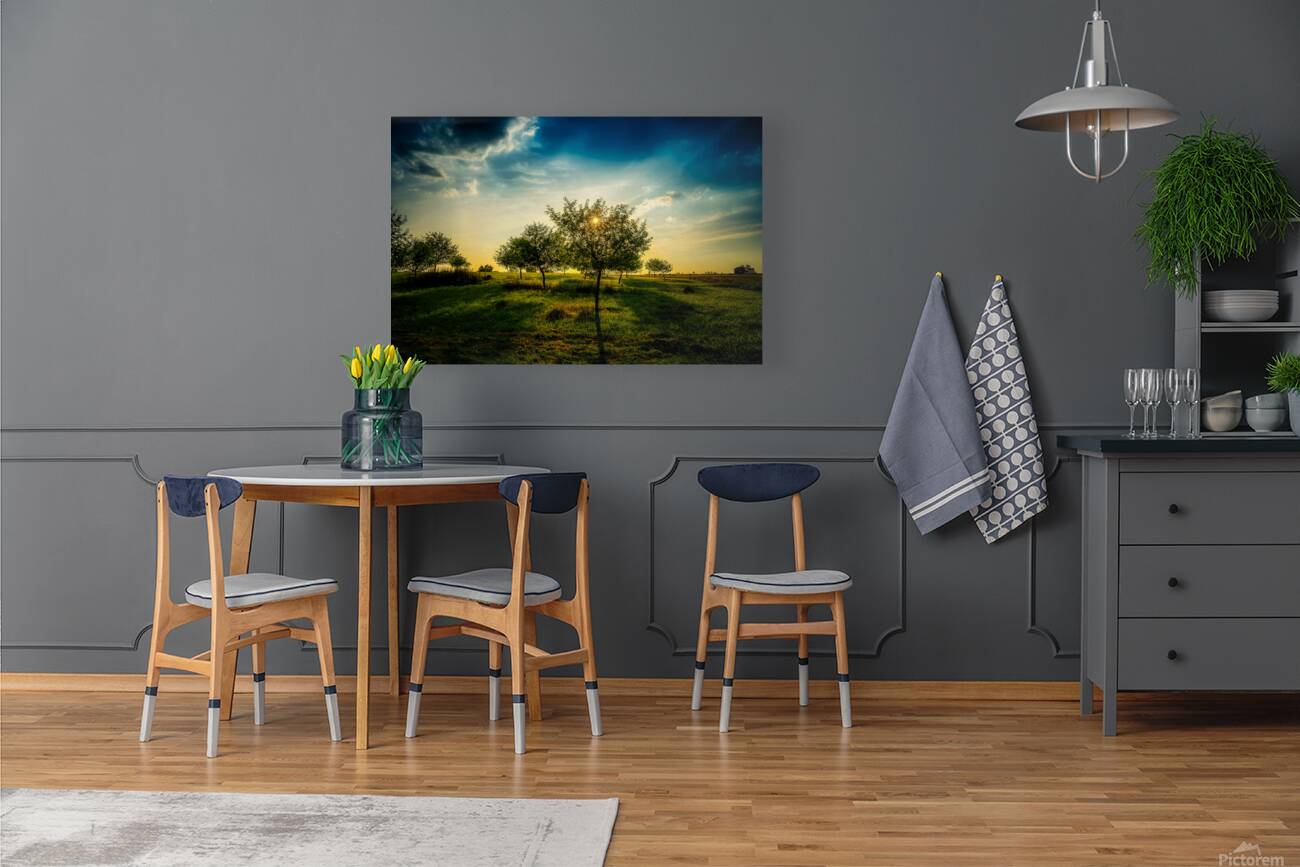 Golden Hour Symphony: Trostle Farms Enchanting Ambiance at Getty Reproduction