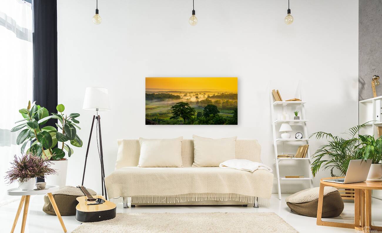 Foggy Bottom Reproduction