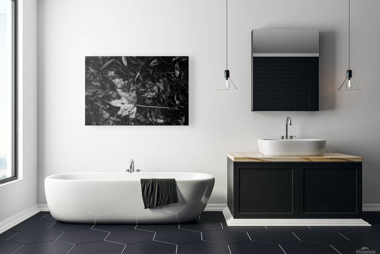 Relic in the Shadows Reproduction