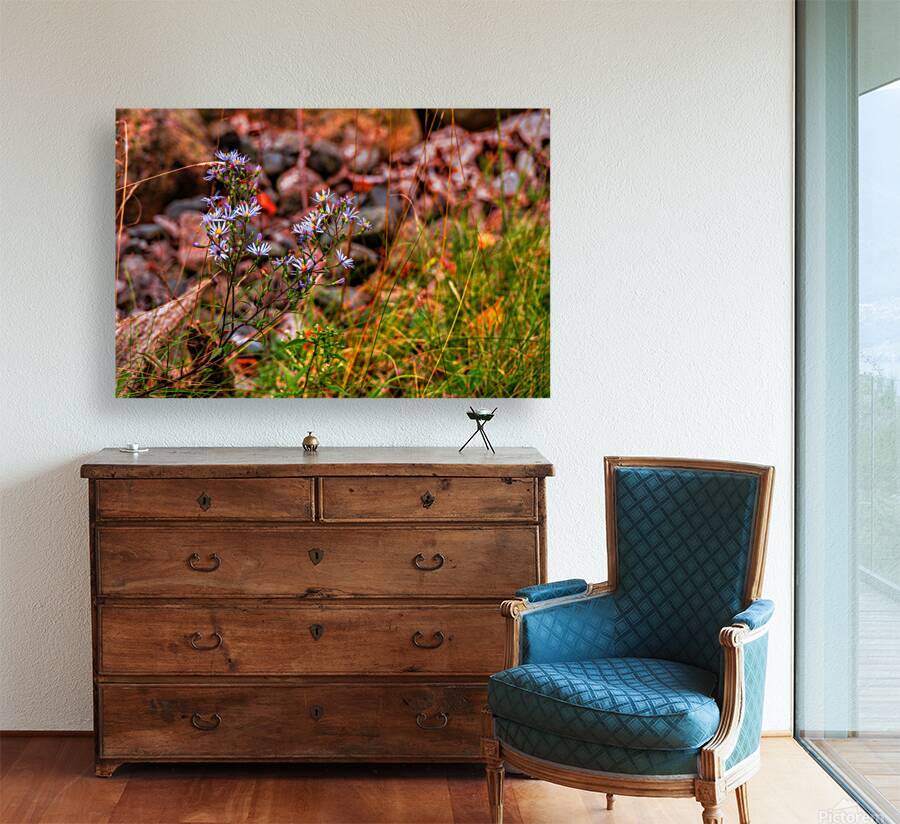 Autumns Last Dance Reproduction