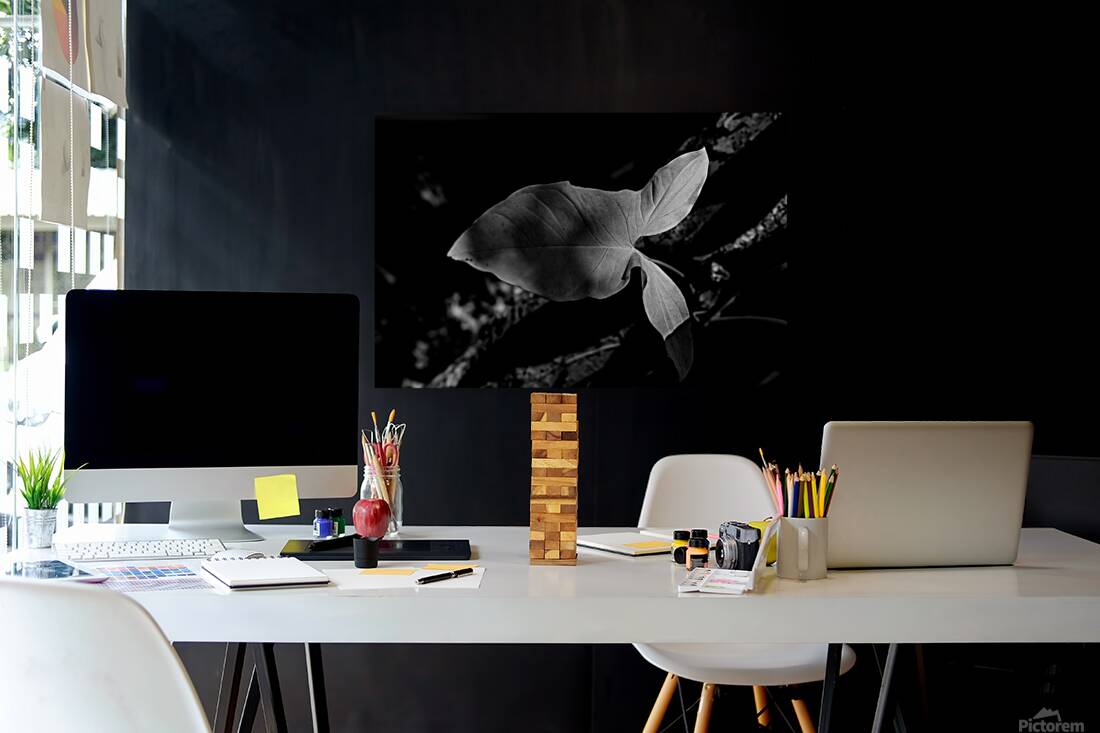 Two Notes of Light Reproduction