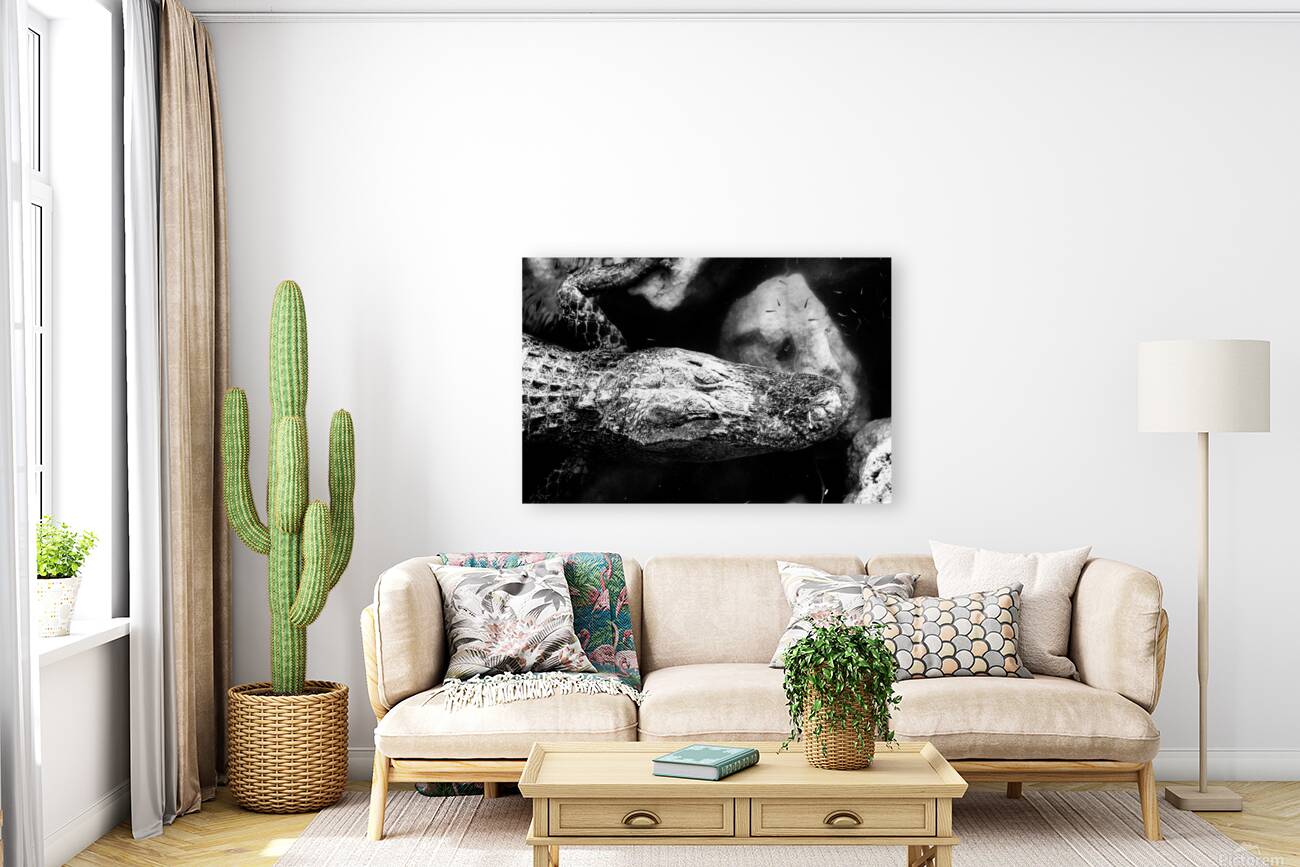 The Patient King Reproduction