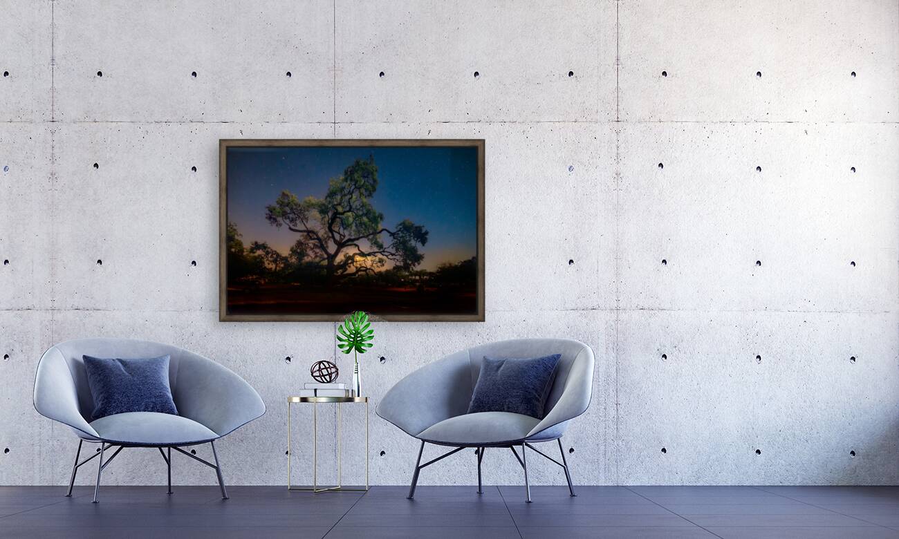 Lighting the Night Reproduction