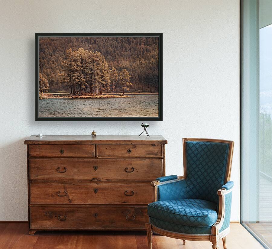 Forest Peninsula Reproduction