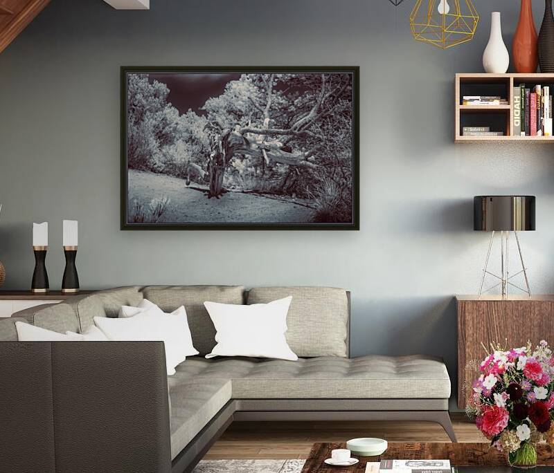 Natures Ancient Dance Reproduction