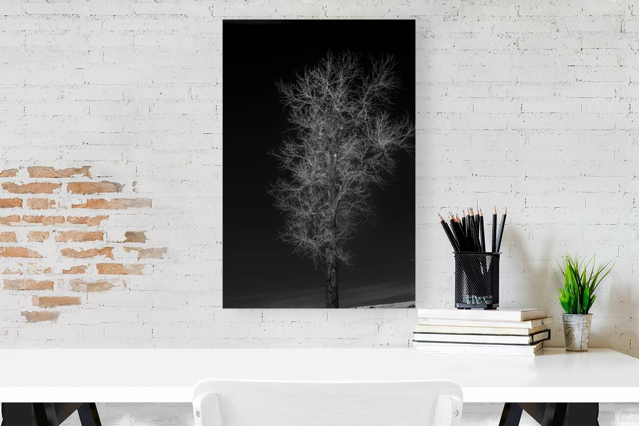 Winters Neural Network Reproduction