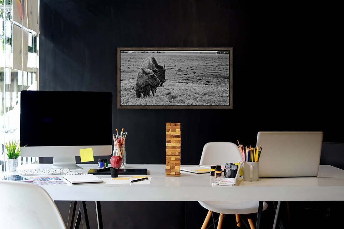 Shaggy Symmetry Reproduction