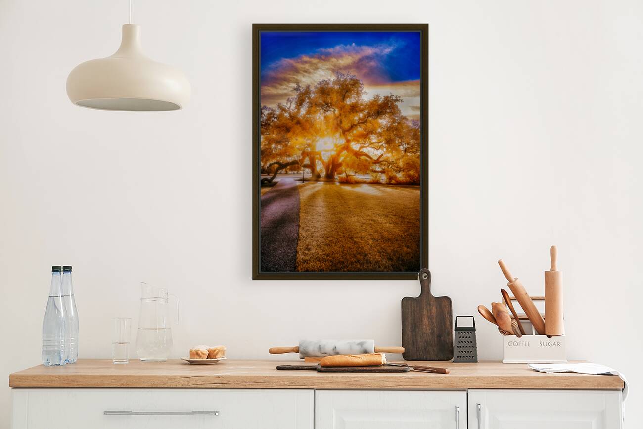 Majestic Reverie: Jekyll Islands Sunset Symphony Through the Grand Oak Reproduction