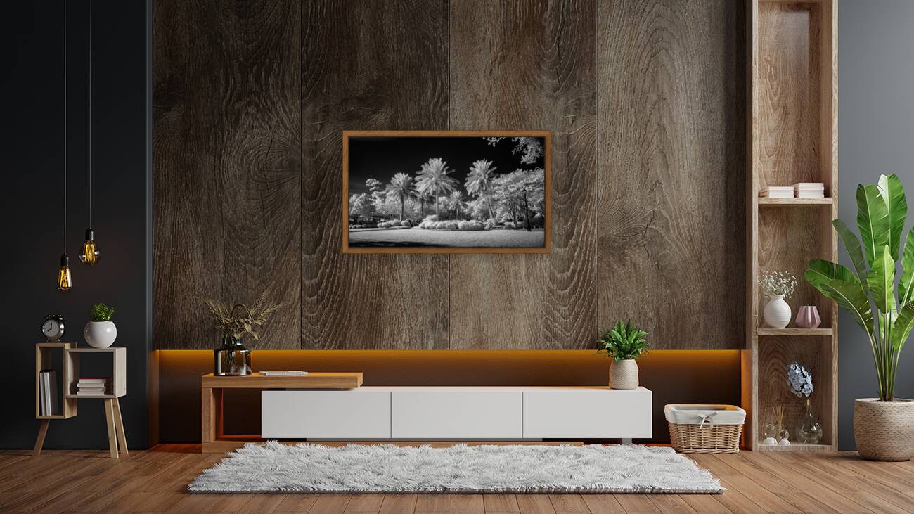 Saint Marys Park Reproduction