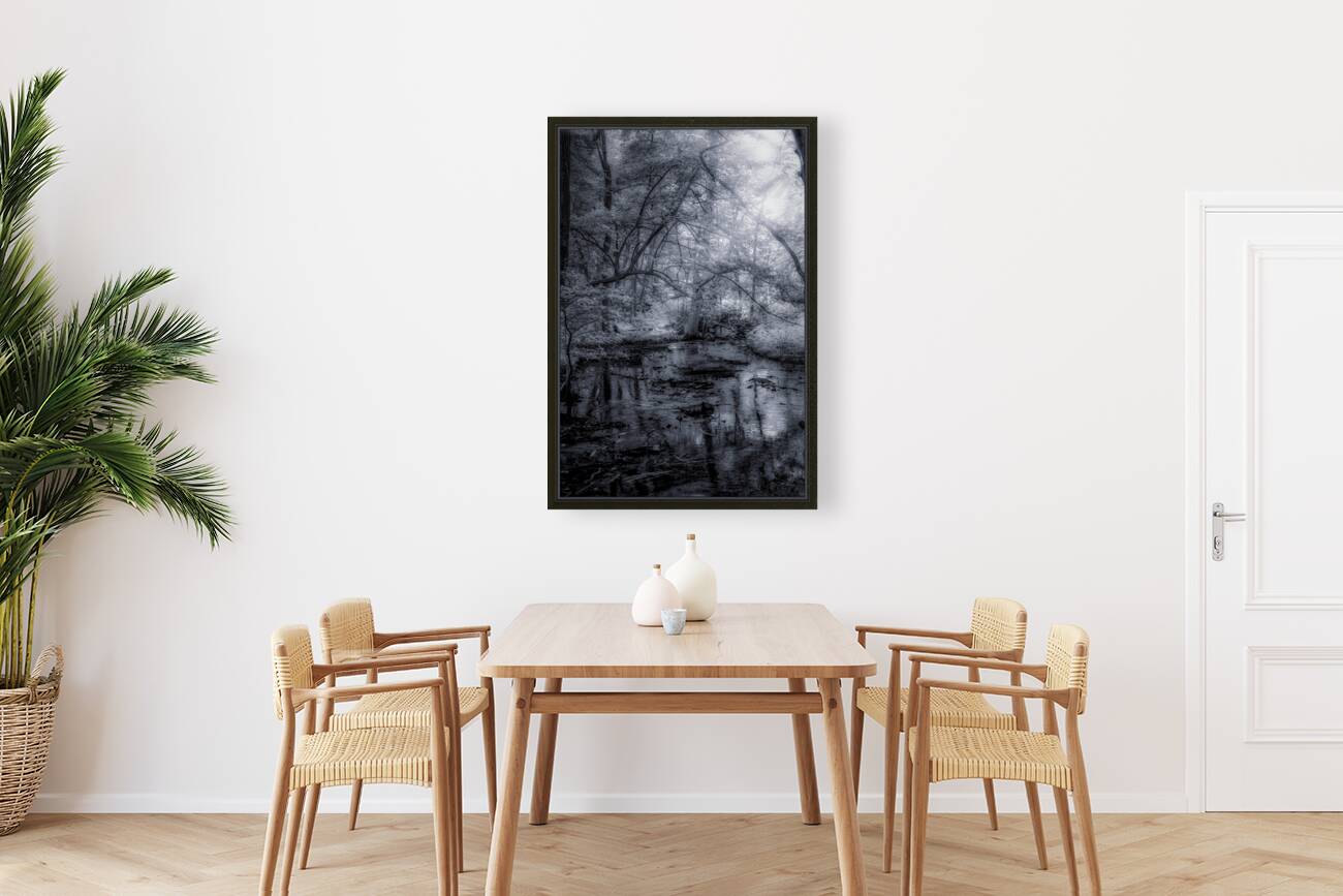 Mystical Reverie: Infrared Wonders of Abbotts Mills Swamp Vista Reproduction