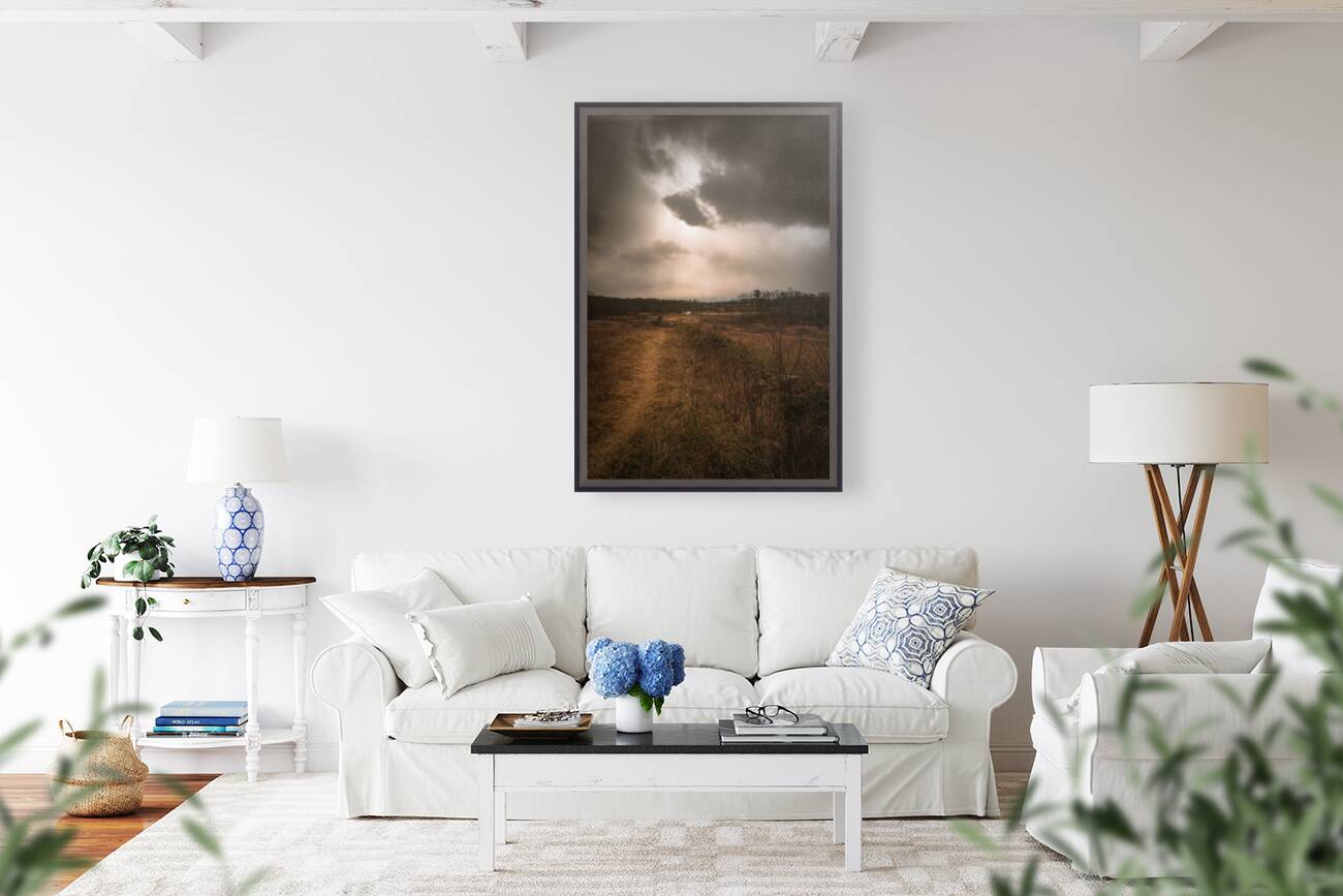 Hazel Row Reproduction