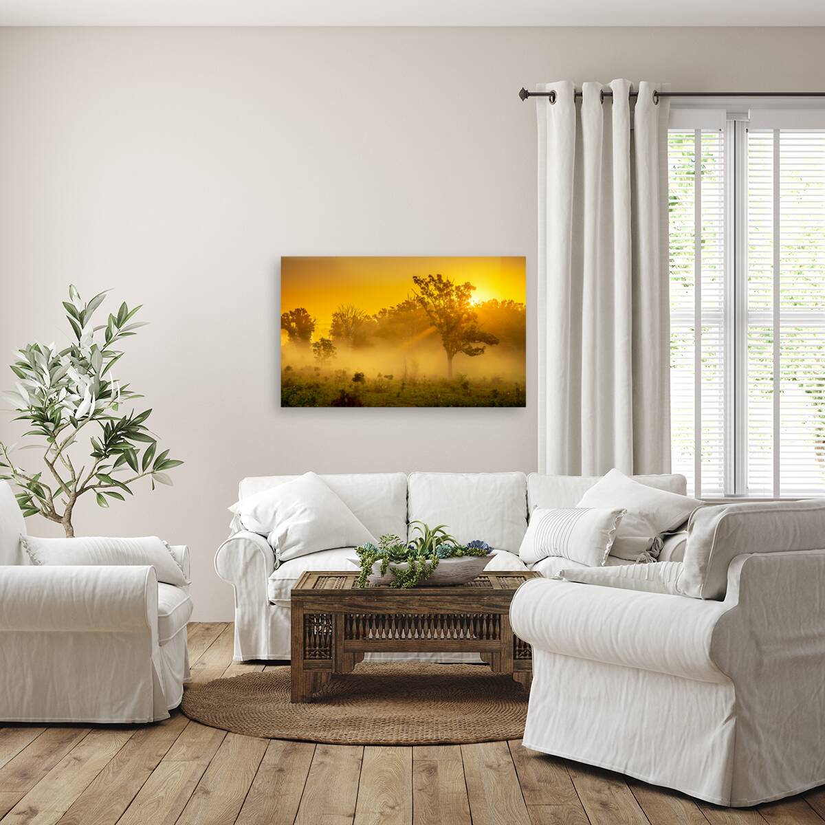 Sun Rays Reproduction