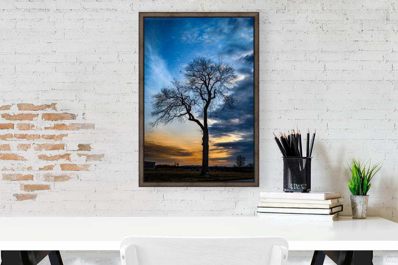 Winters Last Light Reproduction