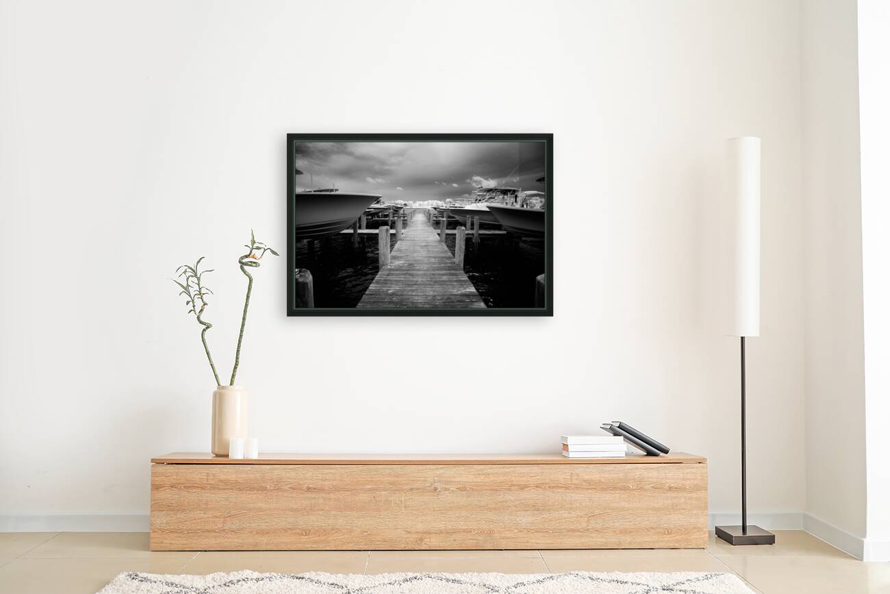 Natuical Patience Reproduction