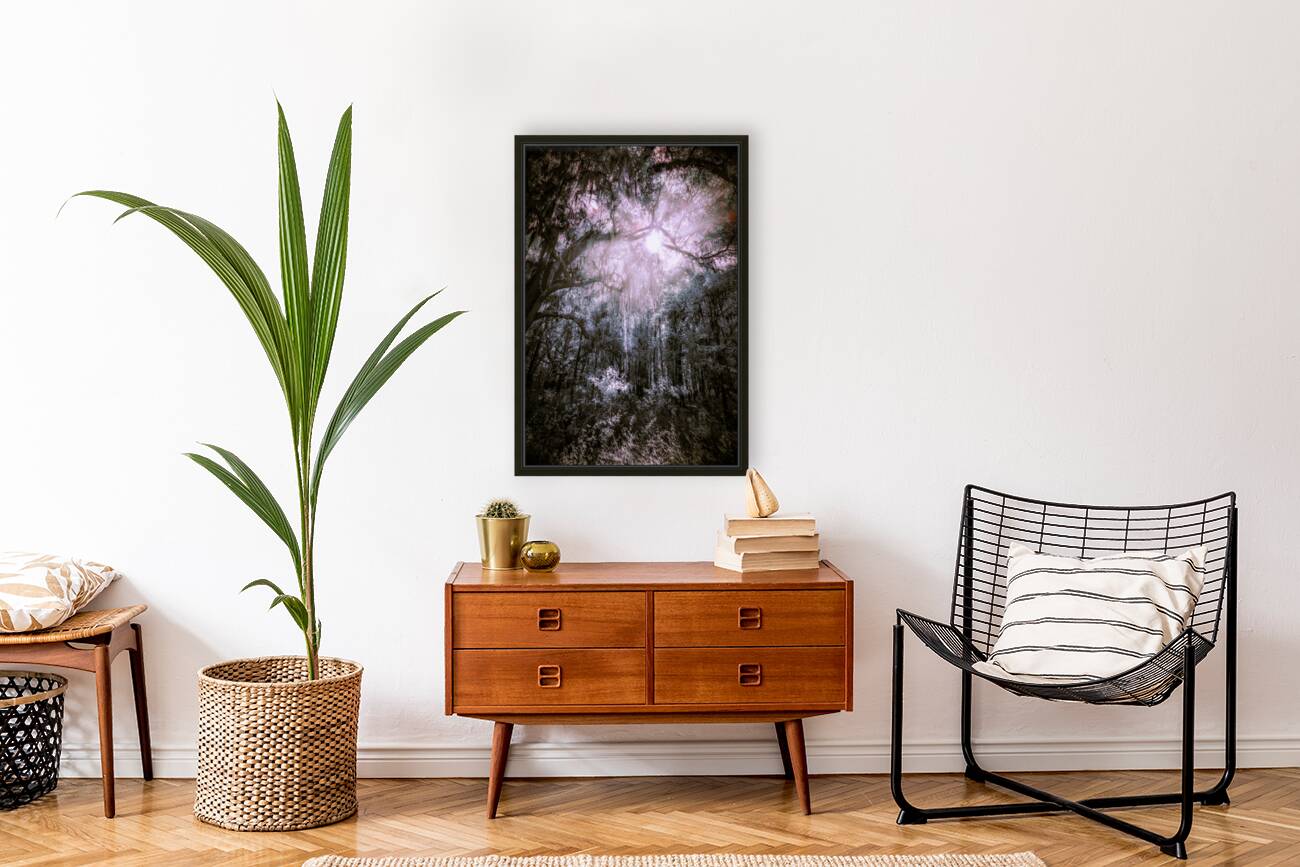 Spooky Trees Reproduction