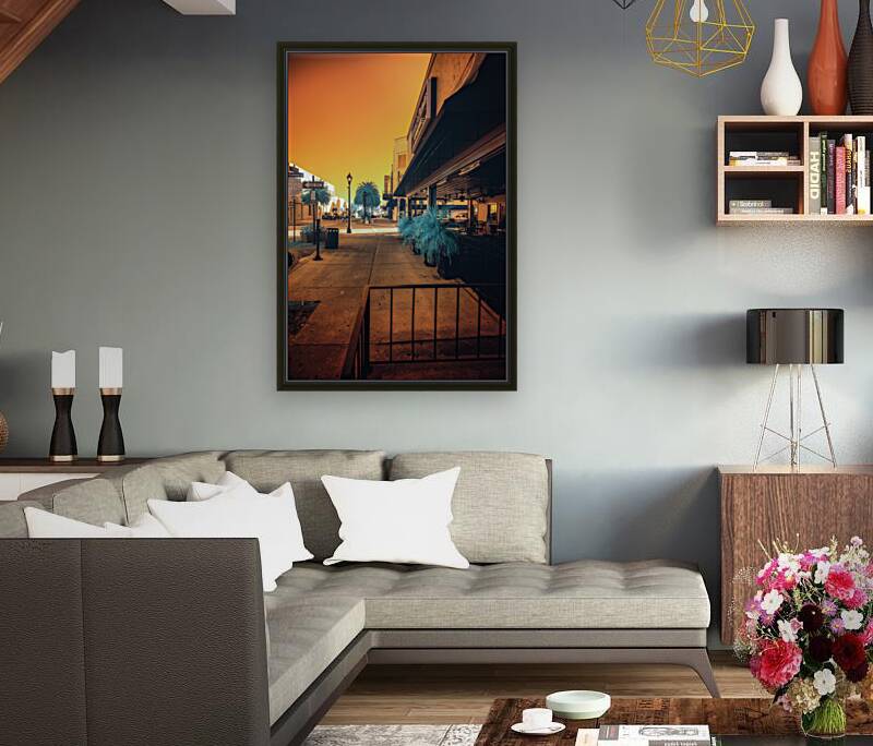 Urban Oasis: Ocala Florida Reproduction