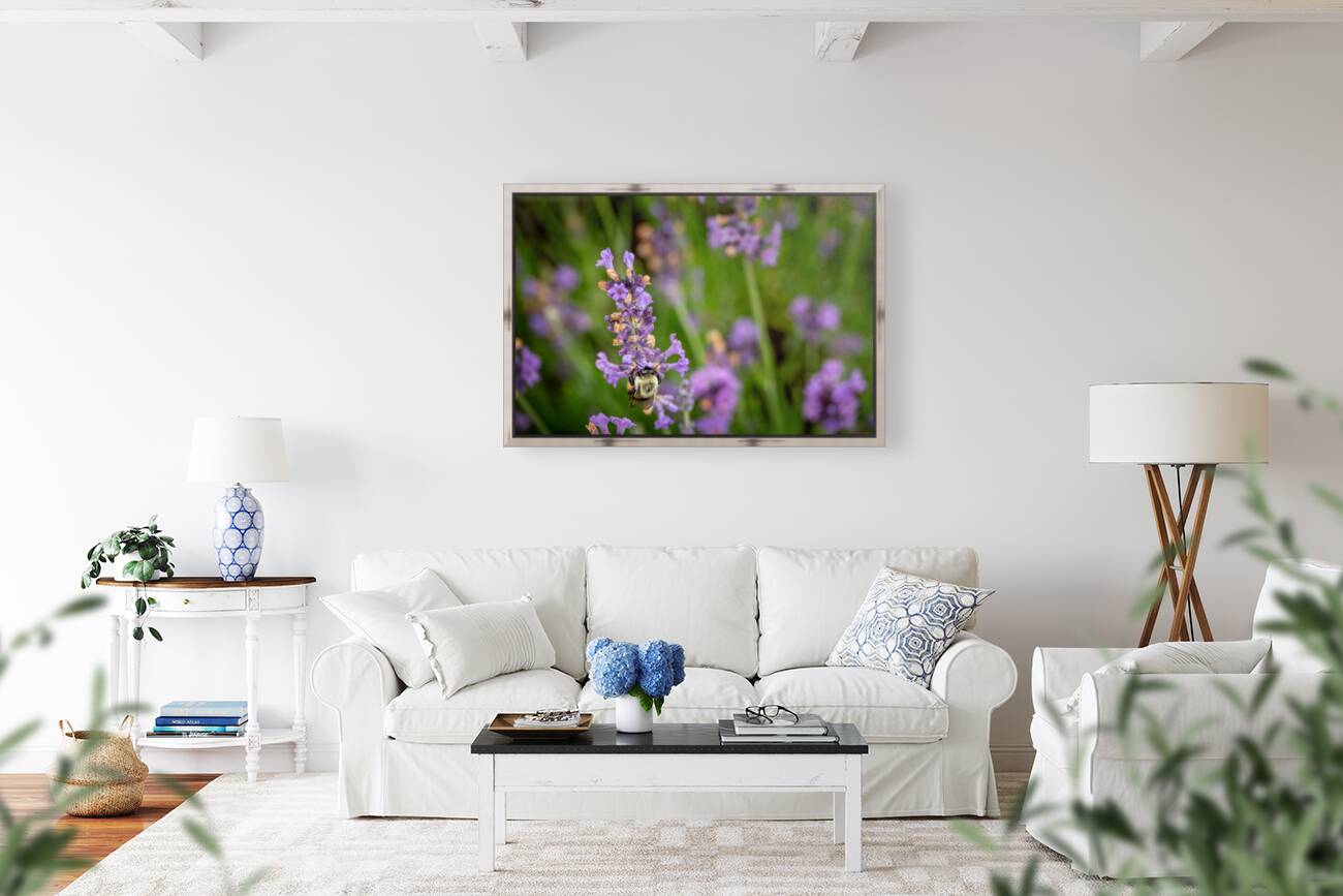 Happy Bee Reproduction