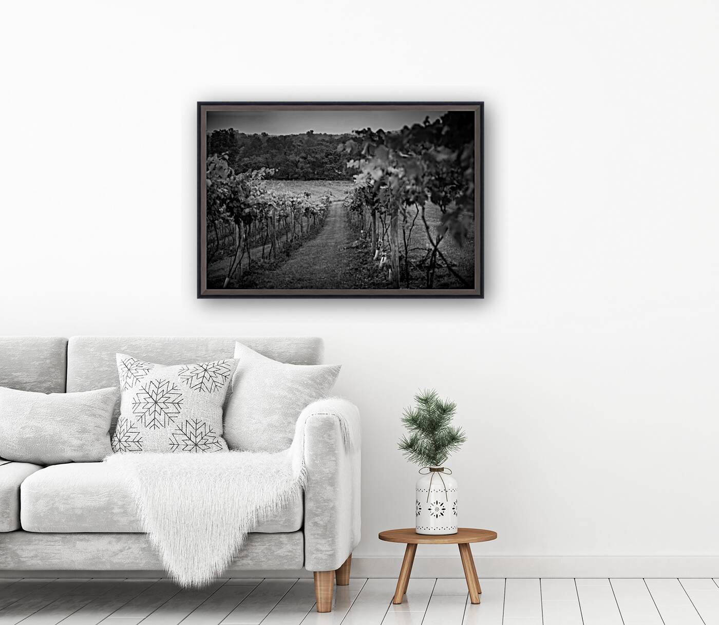 Grape Rows Reproduction