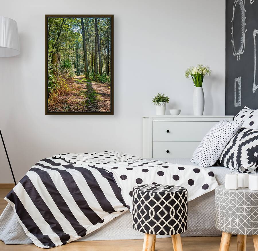 Path in woods Reproduction