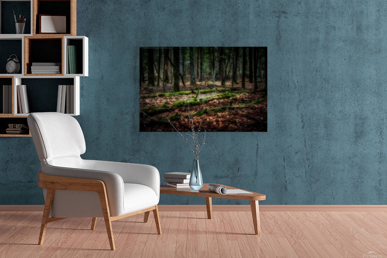 Forest Floor Secrets Reproduction