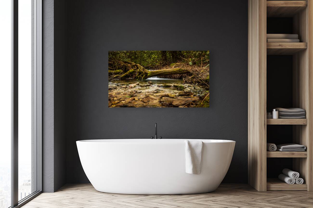 Hidden falls Reproduction