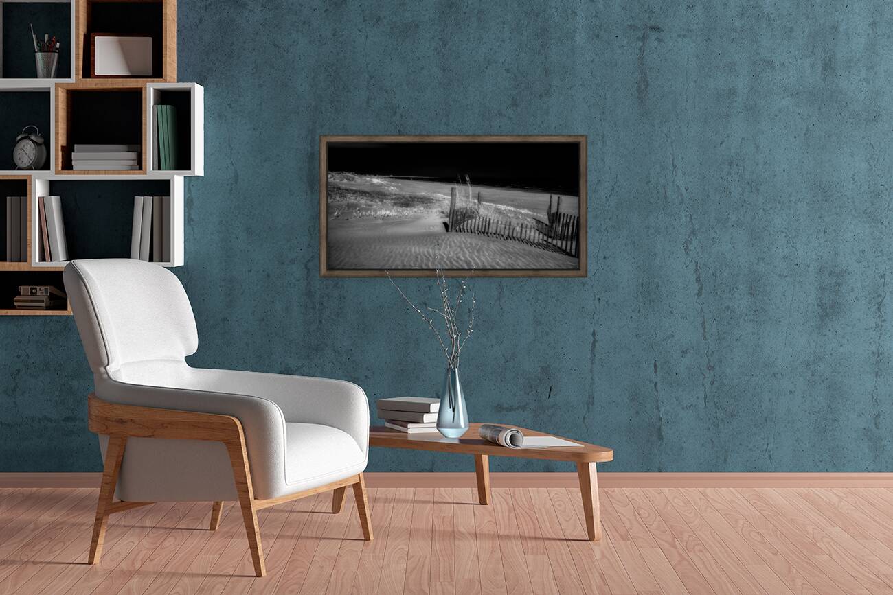 Fence Watching the Ocean Reproduction