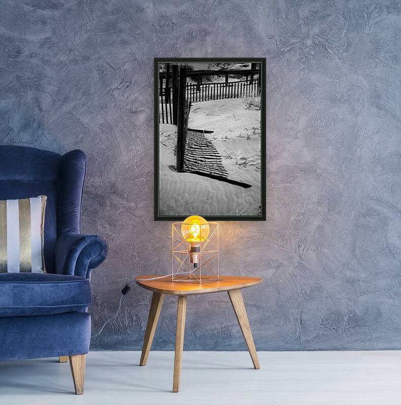 Shadowy Fence Reproduction