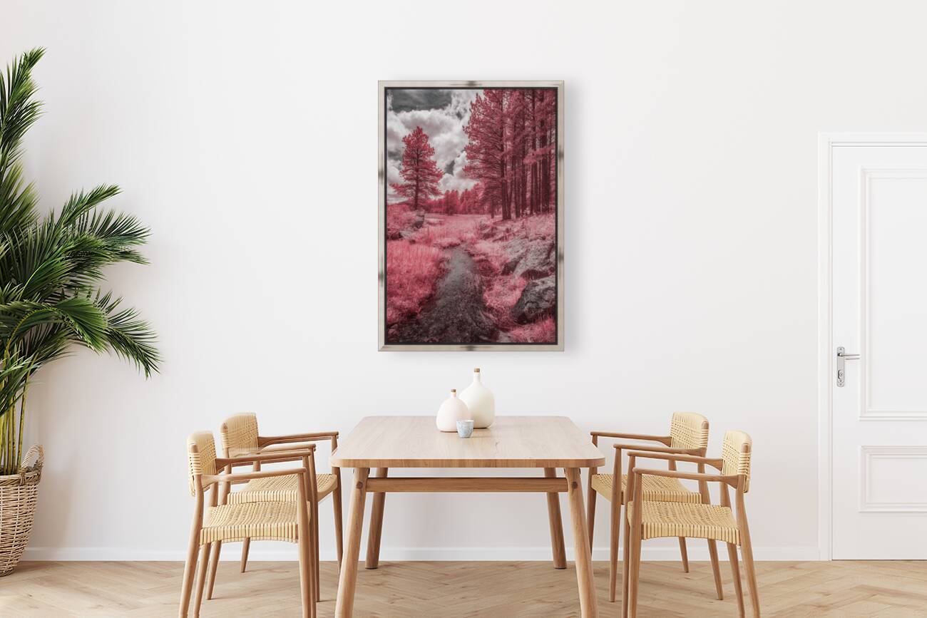 Red Meadow  Reproduction