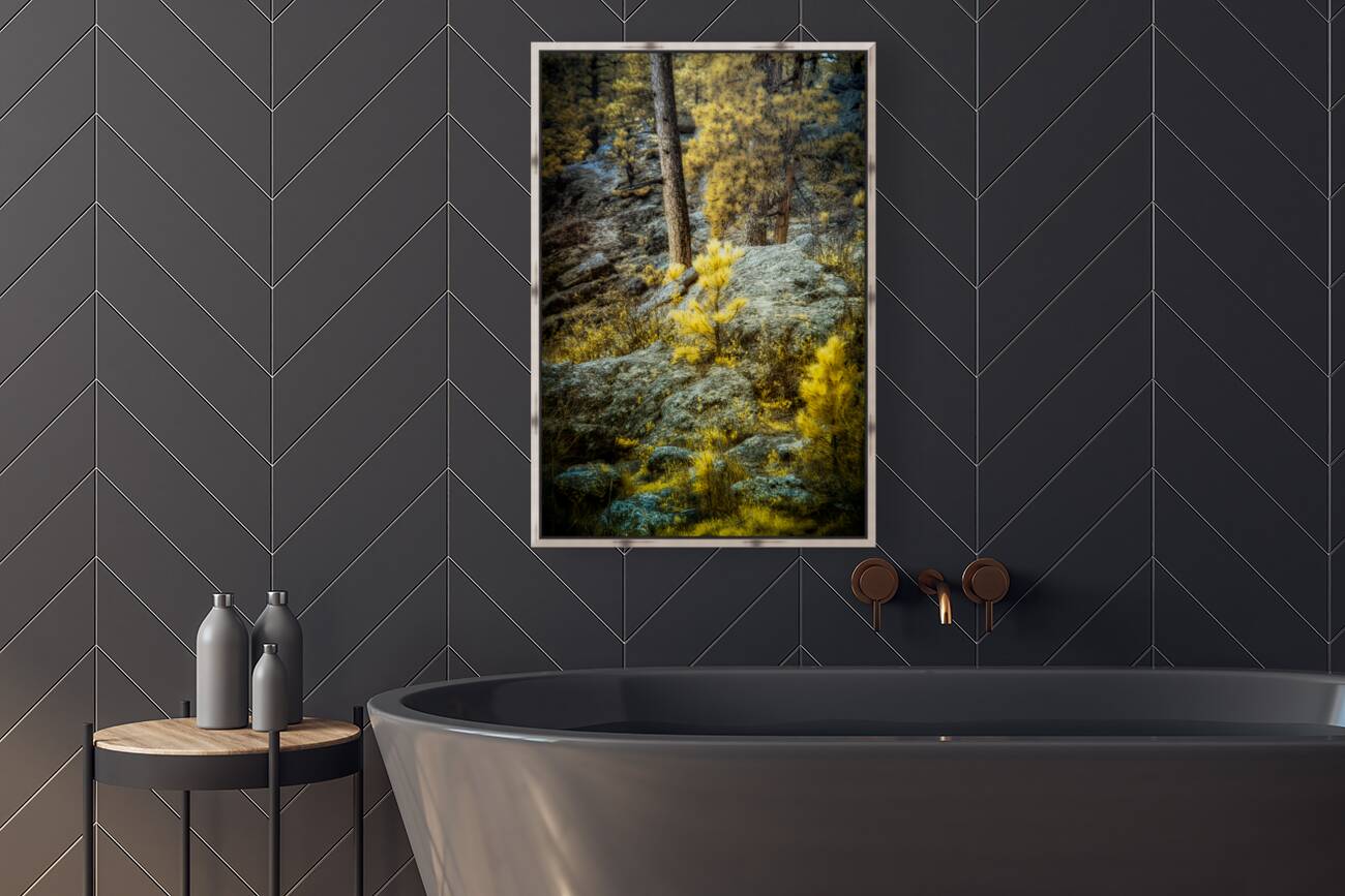 Solitude Amidst Serenity: The Lone Pine Tree by the Lake Reproduction