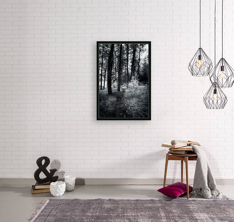 Wandering Through Wonderland: A Mystical Path Along Center Lakes Shores Reproduction