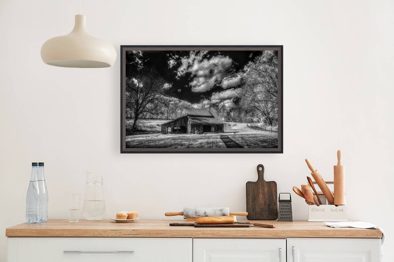 Monochrome Echoes: Capturing Timeless Tales in the Tennessee Countryside Reproduction