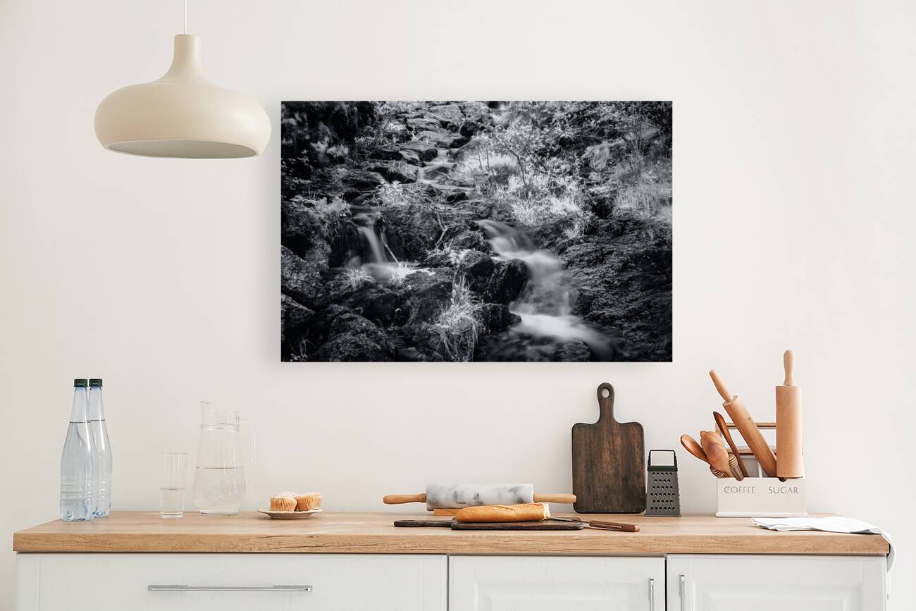 Bismarcks Silver Dance Reproduction