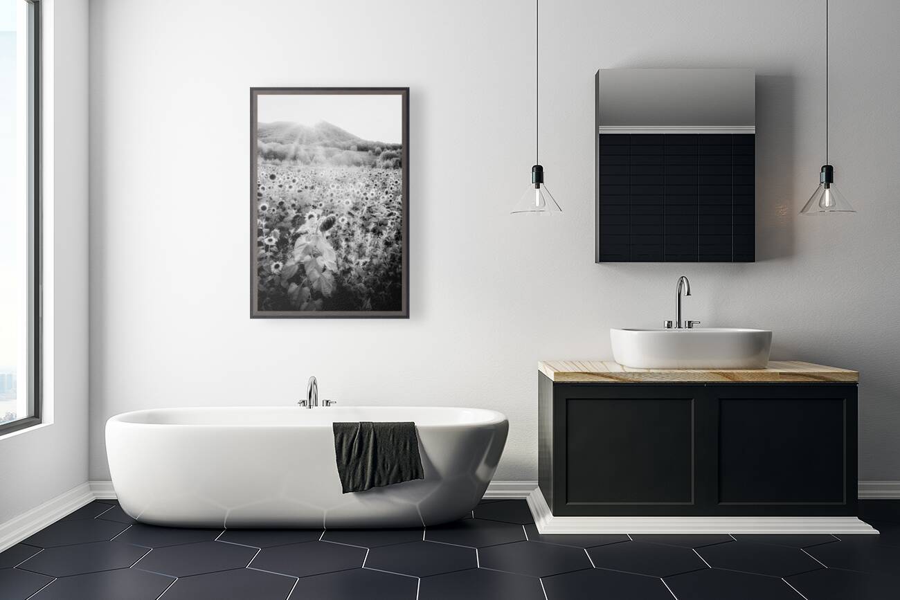 Sunflower Setting Reproduction