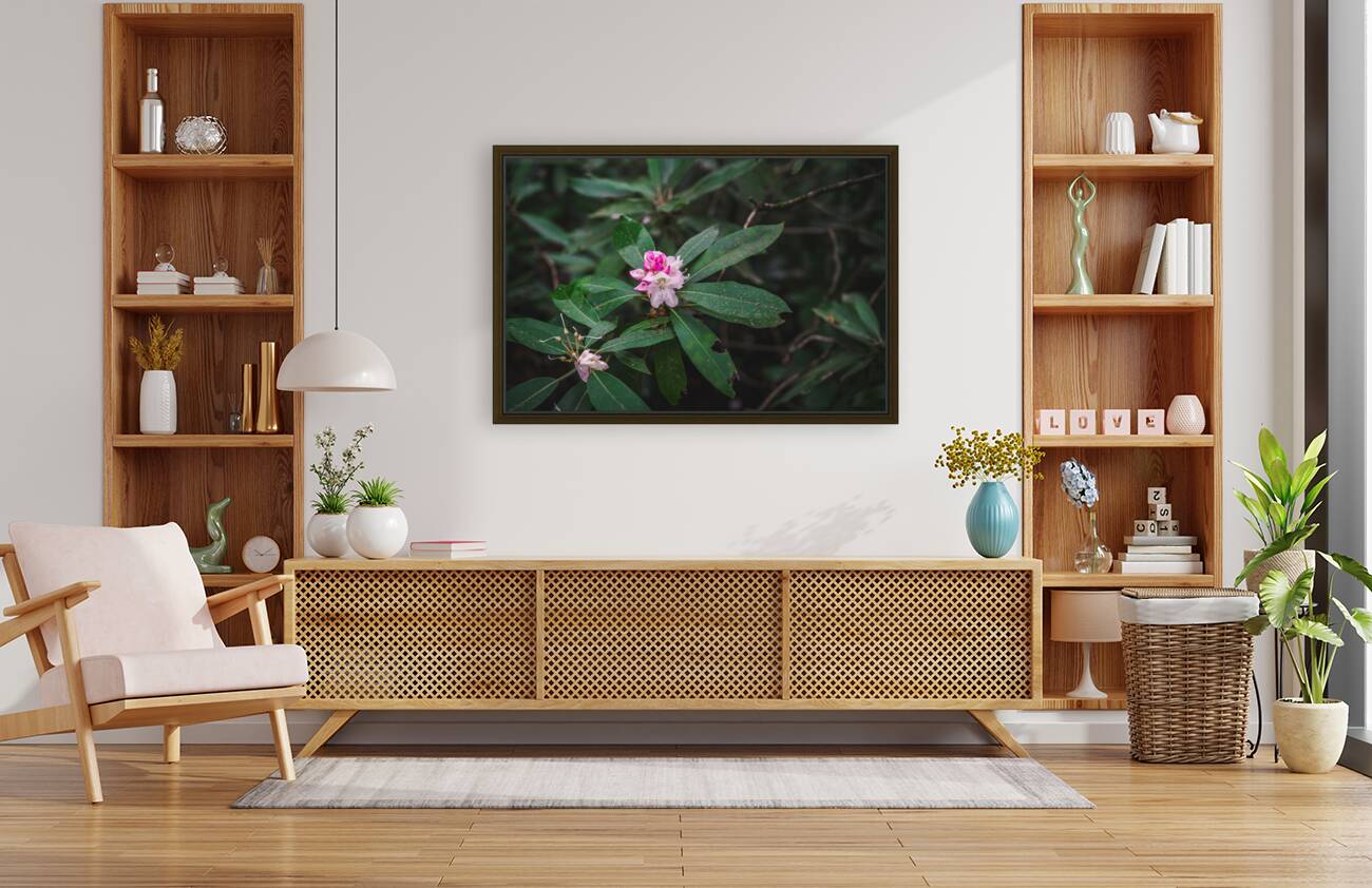 Rhodie - 2 Reproduction