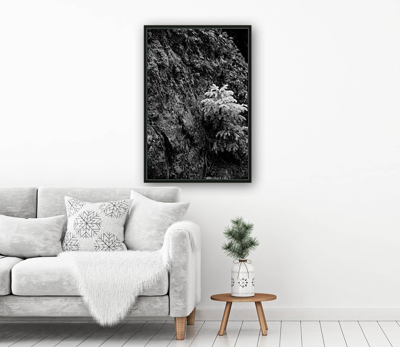 Small Pine on a Rock Reproduction