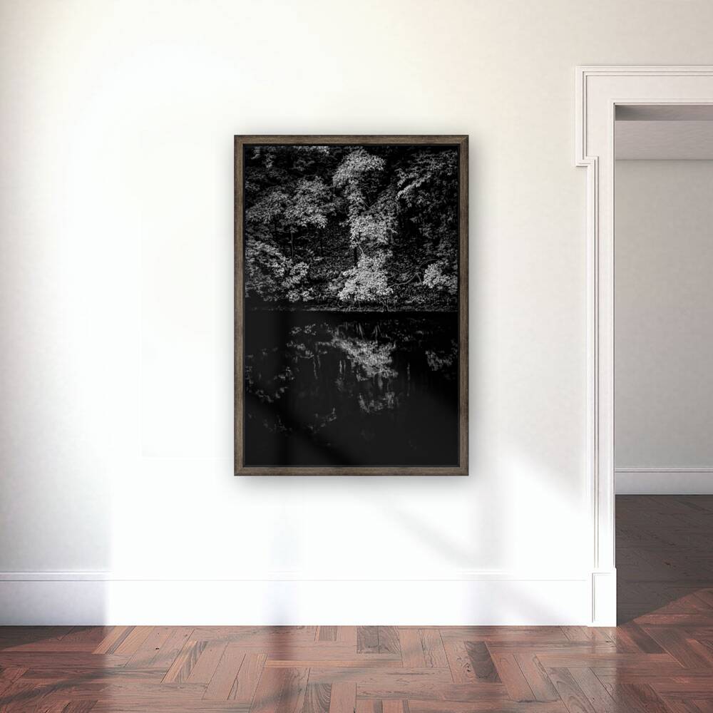 A Forest Reflection: Tims Ford State Park Reproduction