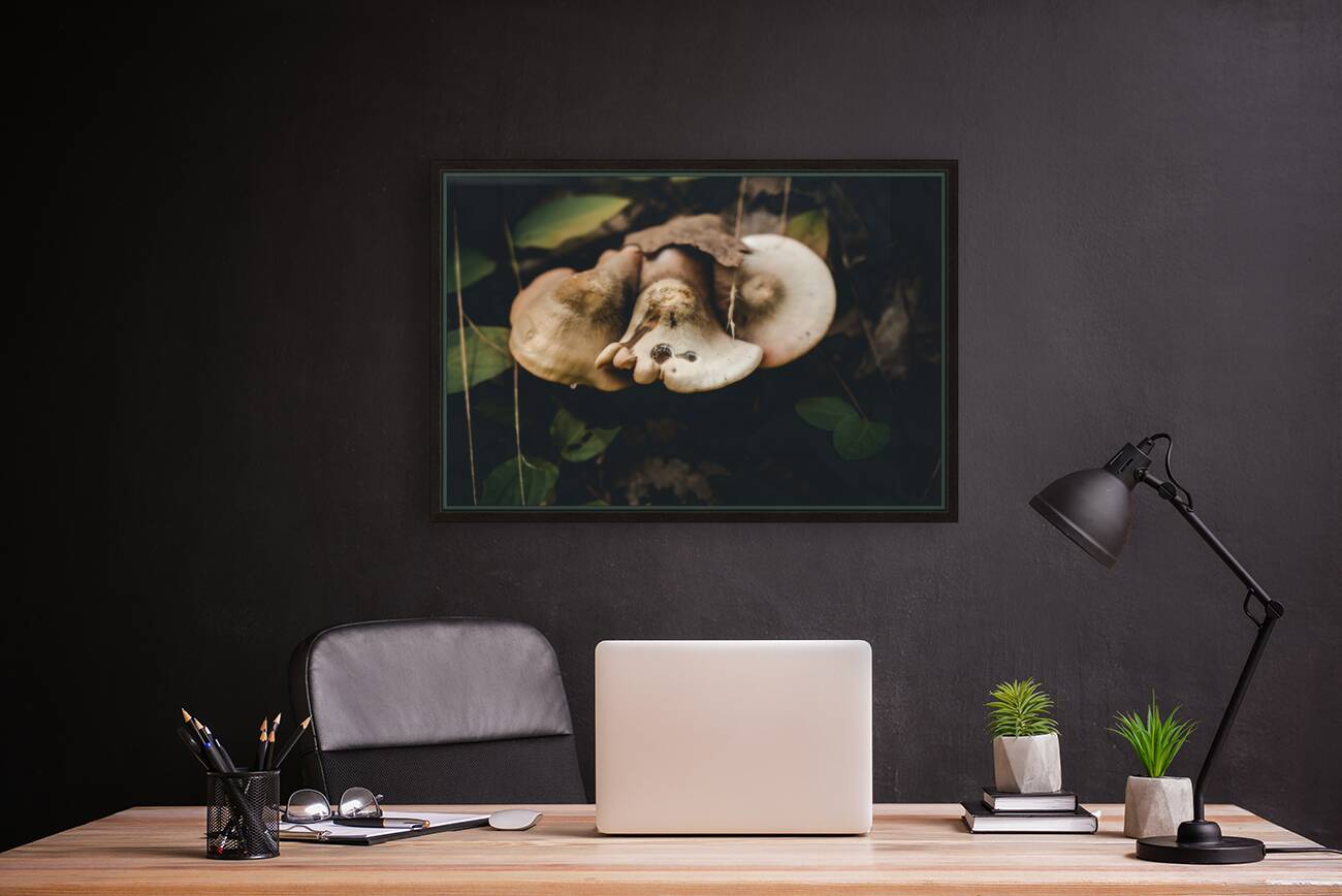 Mystical Fungi: Pound Puppy Shroom in the Magical Woods Reproduction