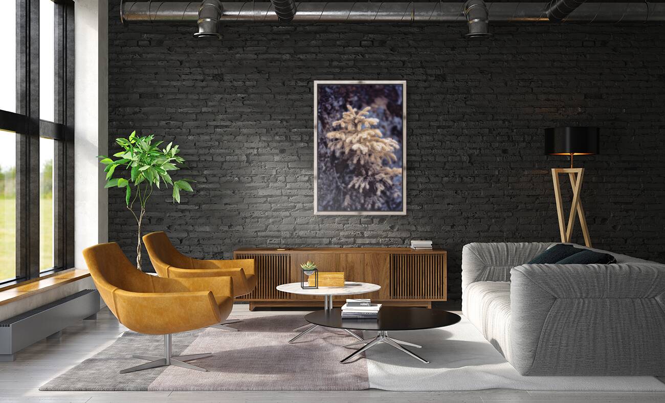 Exploring Sylvan Lake: Tiny Yellow Pine Reproduction